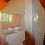 Parc De La Draille Kemping Souillac